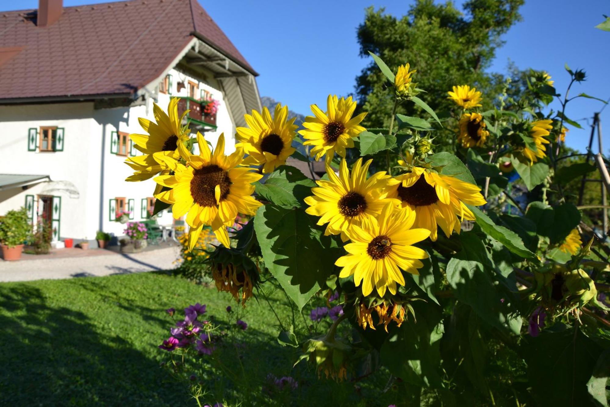 Kerschbaumergut Großgmain Buitenkant foto